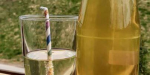 Beitragsbild des Blogbeitrags Familien Frühlingssirup mit Löwenzahn & Gänseblümchen