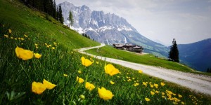 Beitragsbild des Blogbeitrags The Best Hikes in Salzburg, Austria – Alms, Mountains, and Lakes