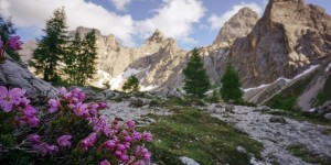 Beitragsbild des Blogbeitrags Best Day Hikes in Austria