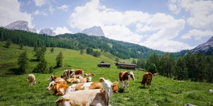 Beitragsbild des Blogbeitrags Wonderful Things to Do in Filzmoos in Summer, Austria