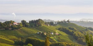 Beitragsbild des Blogbeitrags A Beginner’s Guide to Wine Tasting in South Styria, Austria 