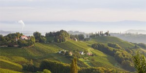 Beitragsbild des Blogbeitrags A Beginner’s Guide to Wine Tasting in South Styria, Austria