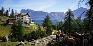 Beitragsbild des Blogbeitrags Rifugio Puez and Rifugio Gardenacia Day Hike in Puez-Odle, Italian Dolomites 