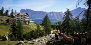 Beitragsbild des Blogbeitrags Rifugio Puez Day Hike in Puez-Odle Nature Park, Italian Dolomites