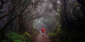 Beitragsbild des Blogbeitrags 10 Unique Things to Do in Tenerife in January, Canary Islands
