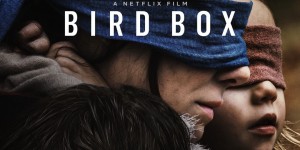 Beitragsbild des Blogbeitrags Bird Box 
