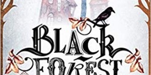 Beitragsbild des Blogbeitrags Black Forest High 