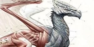 Beitragsbild des Blogbeitrags Die Naturgeschichte der Drachen