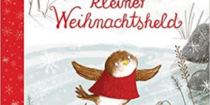 Beitragsbild des Blogbeitrags Robin, kleiner Weihnachtsheld