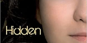 Beitragsbild des Blogbeitrags Hidden