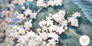 Beitragsbild des Blogbeitrags Holunderduett für fleißige Wanderfüße