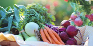 Beitragsbild des Blogbeitrags Was soll vor dem Frost geerntet werden und welches Gemüse soll bis zum Winter im Garten bleiben? 