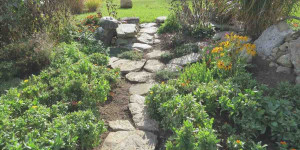 Beitragsbild des Blogbeitrags Steingärten: Ideen für einen Garten in der Nähe Ihres Hauses
