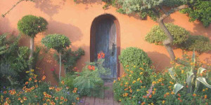 Beitragsbild des Blogbeitrags Wie gestaltet man einen Trockengarten ohne Bewässerung?