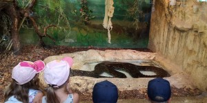 Beitragsbild des Blogbeitrags Ausflugstipp Kärnten Reptilienzoo Happ 