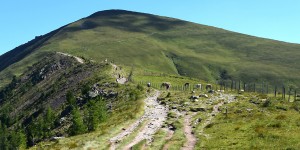 Beitragsbild des Blogbeitrags Sanfte Wanderung im Biosphärenpark Nockberge