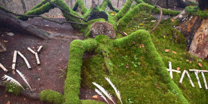 Beitragsbild des Blogbeitrags Am Kreuzbergl wird die Natur zum Atelier 