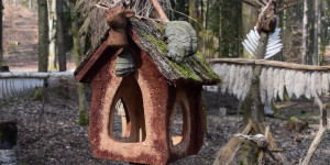 Beitragsbild des Blogbeitrags Klagenfurt: Am Kreuzbergl gibts jetzt ein Vogelparadies