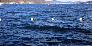 Beitragsbild des Blogbeitrags Eine „schnelle“ Runde um den Wörthersee