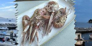 Beitragsbild des Blogbeitrags Konoba Pescaria: Hoher Fischgenuss mit Aussicht