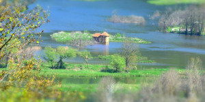 Beitragsbild des Blogbeitrags Bleistätter Moor: Naturjuwel am Ossiacher See 