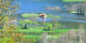 Beitragsbild des Blogbeitrags Bleistätter Moor: Naturjuwel am Ossiacher See