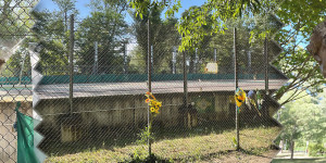 Beitragsbild des Blogbeitrags Ein stiller Besuch bei Ayrton Senna in Imola