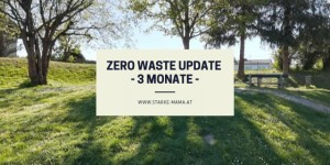 Beitragsbild des Blogbeitrags Update – 3 Monate Zero Waste 