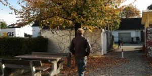 Beitragsbild des Blogbeitrags Herbstfreuden am ersten Novemberwochenende 