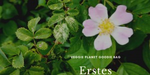 Beitragsbild des Blogbeitrags Veggie Planet Goodie Bag goes Klimavolksbegehren