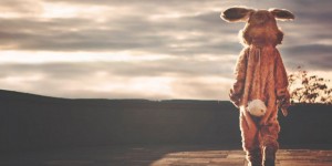 Beitragsbild des Blogbeitrags Akquisestrategien für Angsthasen