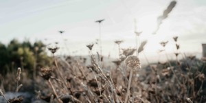 Beitragsbild des Blogbeitrags My current Top 10 Songs – Herbstedition. 