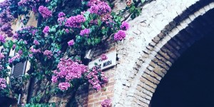 Beitragsbild des Blogbeitrags sirmione {travel} ...