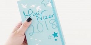 Beitragsbild des Blogbeitrags Mininizer {GrinseNizer} ...