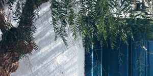 Beitragsbild des Blogbeitrags wenn sich neue Türen öffnen {GrinseSternStoff}