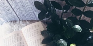 Beitragsbild des Blogbeitrags meine Lieblingsbücher {booklove} ... 