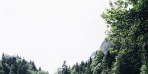 Beitragsbild des Blogbeitrags du bist einzigartig {GrinseSternShine} ...