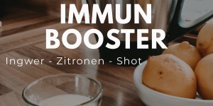 Beitragsbild des Blogbeitrags Immunbooster {Rezept} ...