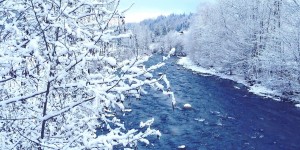 Beitragsbild des Blogbeitrags winter ...