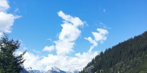 Beitragsbild des Blogbeitrags buchauer alm {tirolliebe} ...