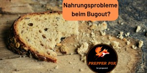 Beitragsbild des Blogbeitrags Nahrungsprobleme beim Bugout?