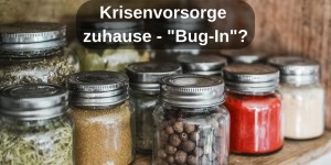 Beitragsbild des Blogbeitrags Krisenvorsorge zuhause – „Bug-in“? 