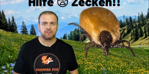 Beitragsbild des Blogbeitrags Hilfe – Zecken!! 5 Tipps und warum Zecken gefährlich sind!