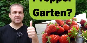Beitragsbild des Blogbeitrags Krisenvorsorge – Preppergarten?