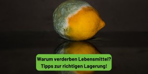 Beitragsbild des Blogbeitrags Warum verderben Lebensmittel? Tipps zur richtigen Lagerung!