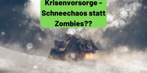 Beitragsbild des Blogbeitrags Krisenvorsorge – Schneechaos statt Zombies? 