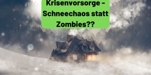 Beitragsbild des Blogbeitrags Krisenvorsorge – Schneechaos statt Zombies?