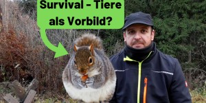 Beitragsbild des Blogbeitrags Survival – Wie überleben Tiere, können sie Vorbilder sein? 