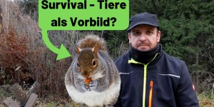 Beitragsbild des Blogbeitrags Survival – Wie überleben Tiere, können sie Vorbilder sein?