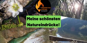 Beitragsbild des Blogbeitrags Meine schönsten Natureindrücke – Luft, Wasser, Aussicht, Sonne, Tiere, Pflanzen und Wald!